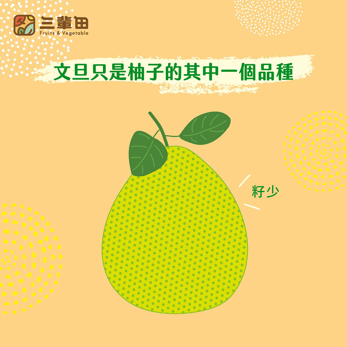 文旦和柚子的區別圖｜三輩田Treeple－優質農產品專家