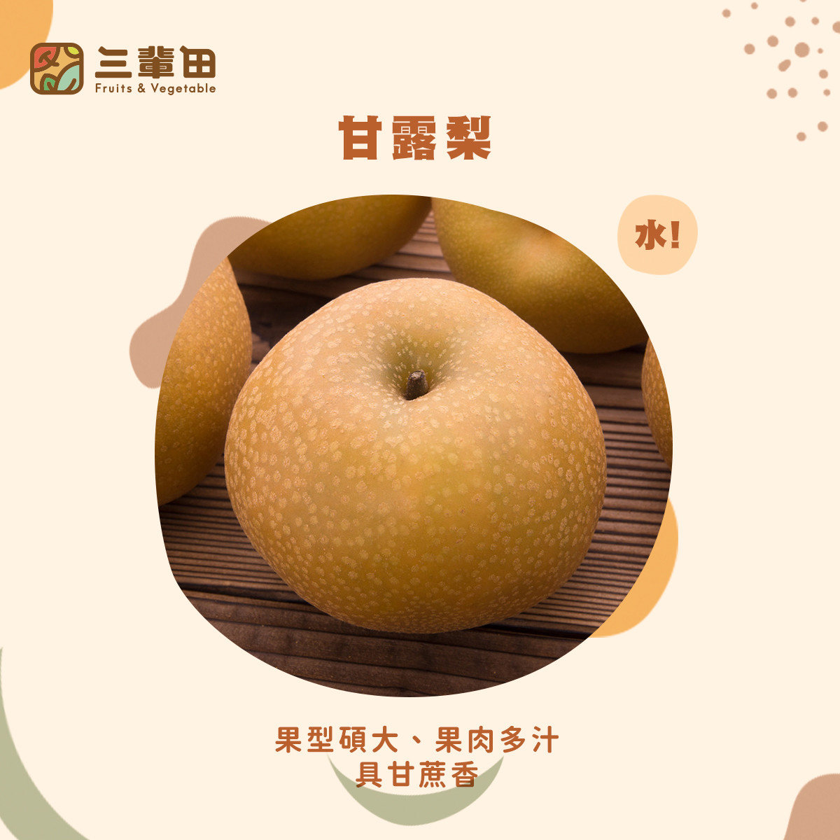 梨子品種比一比：甘露梨｜三輩田Treeple－優質農產品專家