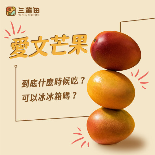 芒果熟了嗎？要冰嗎？一次搞懂愛文芒果食用時機及保存方式！