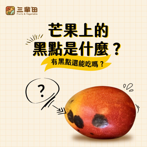 芒果上有黑點還能吃嗎？教你如何分辨壞掉的芒果！