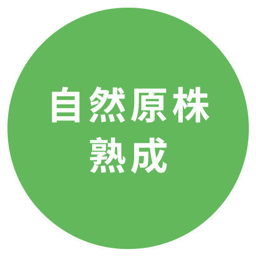 黑香芒果自然熟成｜三輩田Treeple－優質農產品專家